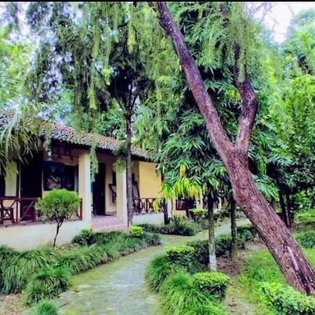 Rhino Lodge Bardia Pvt Ltd Bardiya Екстер'єр фото