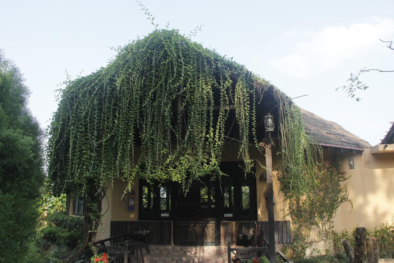 Rhino Lodge Bardia Pvt Ltd Bardiya Екстер'єр фото