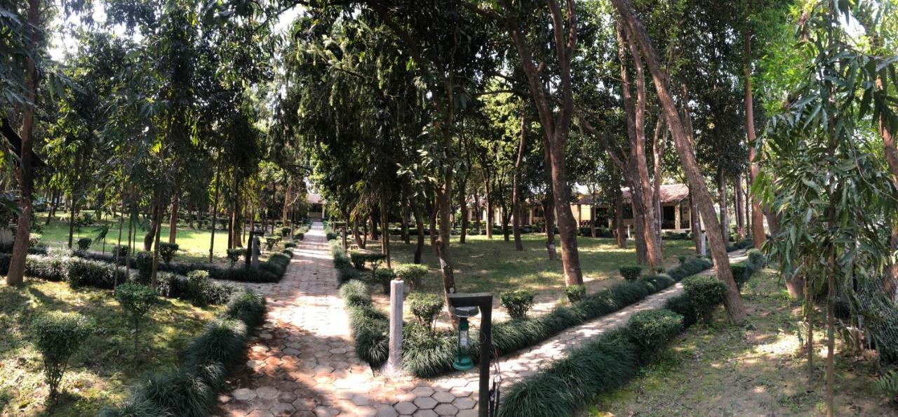 Rhino Lodge Bardia Pvt Ltd Bardiya Екстер'єр фото